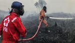 Potret Perjuangan Damkar Padamkan Kebakaran Lahan Gambut di Kalteng