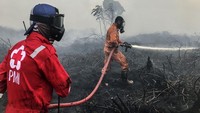 Pemadaman dilakukan oleh tim gabungan gabungan BPBD, Damkar, PMI, dan relawan. Berdasarkan data BPBD Kotawaringan Barat kebakaran hutan dan lahan di desa tersebut mencapai 20 hektar.