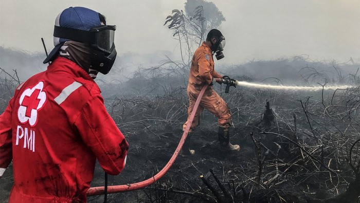 UPAYA PEMADAMAN KARHUTLA GAMBUT DI PANGKALAN BUN Foto udara areal lahan gambut yang terbakar di Desa Natai Baru, Pangkalan Bun, Kotawaringin Barat, Kalimantan Tengah, Senin (2/1/2023). Berdasarkan data BPBD Kotawaringan Barat kebakaran hutan dan lahan (karhutla) di desa tersebut mencapai 20 hektare dengan tiga titik lokasi api dan sebanyak lima hektare lahan diantaranya berhasil dipadamkan oleh tim gabungan BPBD, Damkar, PMI serta para relawan. ANTARA FOTO/Ario Tanoto/mz/wsj.