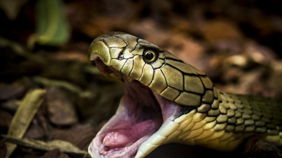 Ular yigitga josuslik qilishmoqda Ular yigitga josuslik qilishmoqda