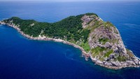 Kemudian ada Pulau Ular di atau dikenal juga dengan nama Ilha da Queimada Granda. Pulau berukuran 43 hektar ini memiliki populasi ular yang sangat banyak. Diperkirakan ada 2000-4000 ekor ular di pulau tersebut. (Getty Images)  