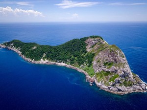 Ngerinya Pulau Terlarang di Brasil, Markas Para Ular Beracun