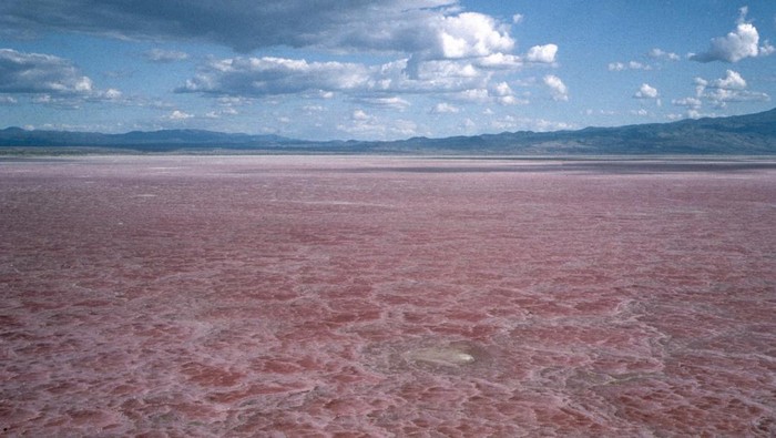 Les eaux rouges salées du lac Natron, circa 1990, Kenya. (Photo by Jean-Luc MANAUD/Gamma-Rapho via Getty Images)