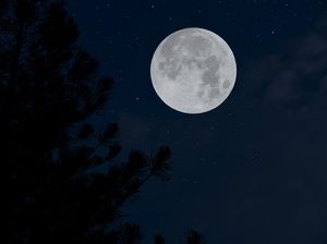 Malam Ini Puncak Fenomena Bulan Purnama Worm Moon