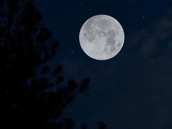 Purnama Sturgeon Moon Nanti Malam, Jam, dan Penjelasannya