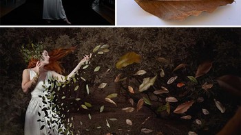 Saya sekarang telah menjelajahi lebih dari 100 teknik dan menulis tutorial tentang masing-masing teknik untuk membantu fotografer lain Foto: Heyley Roberts via Boredpanda