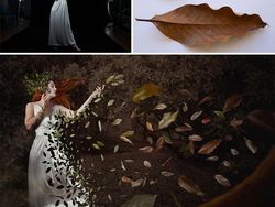 Hasil Editan Photoshop yang Bikin Terkesima