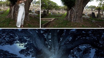  Saya akan memutuskan metode fotografi kreatif apa yang ingin saya jelajahi selanjutnya dan kemudian membuat gambar di sekitarnya., ungkapnya. Foto: Heyley Roberts via Boredpanda