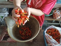 Pedasnya Harga Cabai Rawit Picu Inflasi 0,43% di Jatim pada Juni 2025