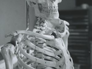 Fungsi Tulang Atas dan Gangguan yang Sering Terjadi