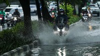 Pengendara motor pun juga menerobos genangan setinggi 30-60 cm tersebut.
