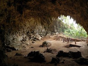 Riset: Manusia Hobbit dari Flores Makan Bangkai Sisa Komodo
