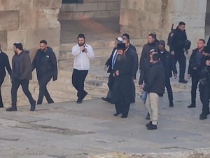 Fadli Zon Desak PBB Sanksi Keras Israel Usai Menterinya ke Al-Aqsa