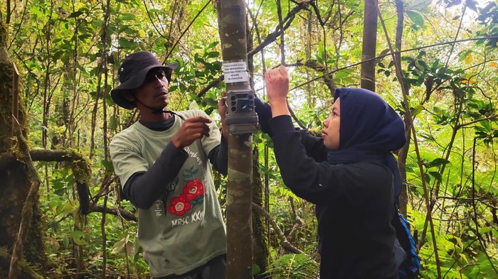 pemasangan camera trap di gunung raung
