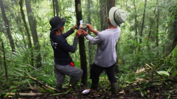 pemasangan camera trap di gunung raung