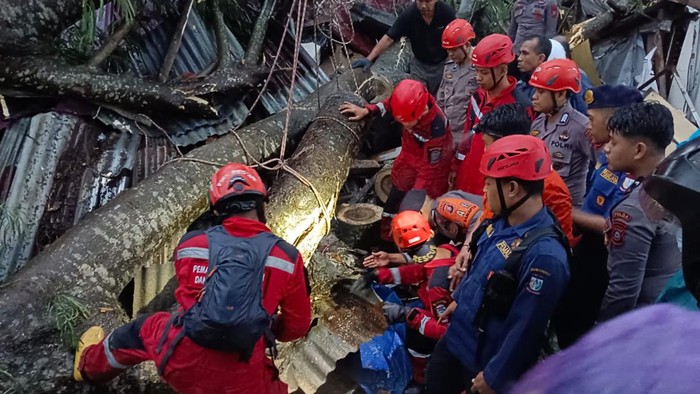 Petugas Damkar Makassar mengevakuasi korban tertimpa pohon tumbang.