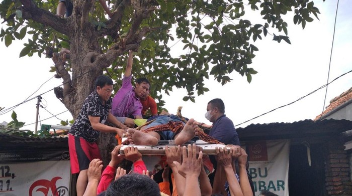 pingsan di atas pohon