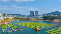 Pandangan udara pertanian hidroponik di Danau Qiandao, Kota Hangzhou, Provinsi Zhejiang, China, Senin (12/12/2022).  