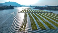 Pertanian hidroponik di Danau Qiandao ini menjadi salah satu pertanian hidroponik terbesar di China.  