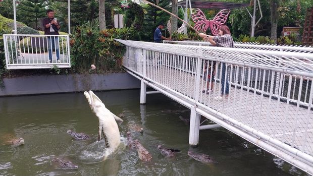 predator fun park predator fun park