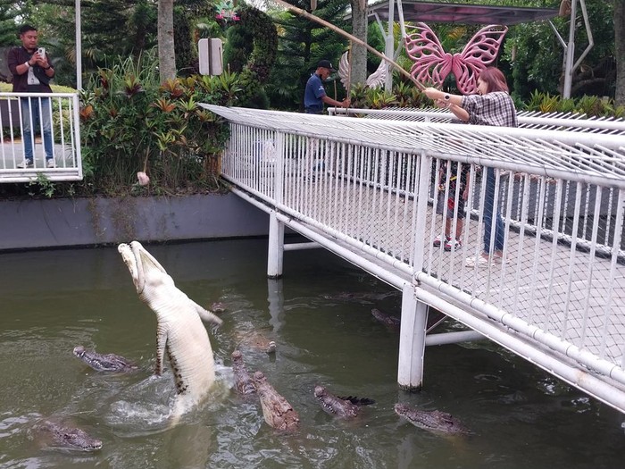 predator fun park
