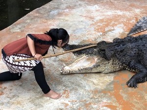 Bermain ke Predator Fun Park Kota Batu Yuk, Lihat Keseruan Atraksi Satwa Liar!