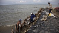 Banjir rob telah merusak dan menggenangi beberapa desa di pesisir Karawang. (Aditya Irawan/Getty Images)  