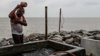 Tak hanya rumah warga, lahan pertanian pun mulai terkikis abrasi. (Garry Lotulung/Getty Images)  