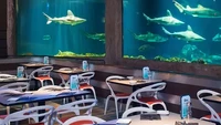 Restoran bernama Sharks Underwater Grill ini mengajak pengunjungnya untuk makan bersama hiu. Beragam menu seafood bisa dipesan sambil melihat hiu berenang bebas. Foto: Insider
