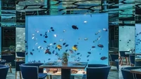 Tak hanya restorannya, sebuah tempat makan di Maldives ini menawarkan pengalaman minum anggur di bawah laut. Anantara Kihavah Villas punya gudang anggur di bawah laut. Foto: Insider