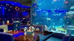 Keren! Di 10 Restoran Ini Bisa Bersantap dengan Panorama Bawah Laut
