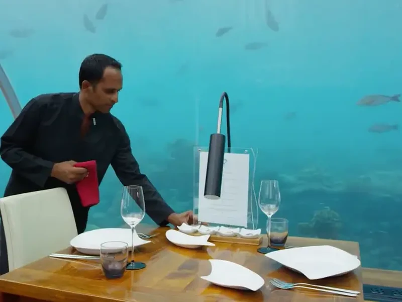 Keren! Di 10 Restoran Ini Bisa Bersantap dengan Panorama  Bawah Laut