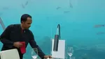 Keren! Di 10 Restoran Ini Bisa Bersantap dengan Panorama Bawah Laut