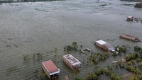 Menurut data yang dihimpun BPBD Kabupaten Demak per Senin (2/1) pukul 20:00 WIB sebanyak 4.306 hektare sawah di 14 kecamatan di Kabupaten Demak terendam banjir akibat luapan sejumlah sungai yang tak mampu menampung debit air karena intensitas hujan tinggi sejak Sabtu (31/12/2022) dini hari.