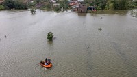 Akibat banjir, para petani terancam puso atau gagal panen.  