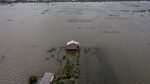 Sawah di Demak Terendam Banjir, Petani Terancam Gagal Panen