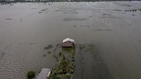 Foto udara sebuah rumah di sekitar areal persawahan yang terendam banjir di Desa Prampelan, Kecamatan Sayung, Kabupaten Demak, Jawa Tengah, Selasa (3/1/2023). 