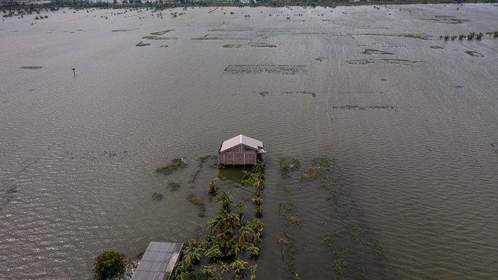Foto udara sejumlah warga mendayung perahu karet di sekitar areal persawahan yang terendam banjir Di Desa Prampelan, Kecamatan Sayung, Kabupaten Demak, Jawa Tengah, Selasa (3/1/2023). Menurut data yang dihimpun BPBD Kabupaten Demak per Senin (2/1) pukul 20:00 WIB sebanyak 4.306 hektare sawah di 14 kecamatan di Kabupaten Demak terendam banjir akibat luapan sejumlah sungai yang tak mampu menampung debit air karena intensitas hujan tinggi sejak Sabtu (31/12/2022) dini hari. ANTARA FOTO/Aji Styawan/foc.