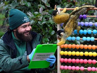 Tingkah Gemas Hewan di Kebun Binatang London Saat Sensus Tahunan