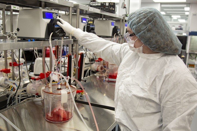Technicians works with bioreactors containing pig organs in a Micromatrix laboratory on Tuesday, Dec. 8, 2022, in Eden Prairie, Minn. (AP Photo/Andy Clayton-King)