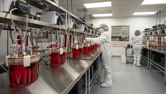 Bioengineered Organs Technicians works with bioreactors containing pig organs in a Micromatrix laboratory on Tuesday, Dec. 8, 2022, in Eden Prairie, Minn. (AP Photo/Andy Clayton-King)