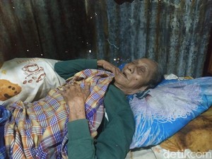 Cerita Kakek Dg Gewa Merokok Santai saat Terjebak Timpaan Pohon-Dievakuasi