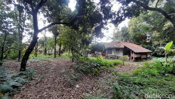 Dusun Puncak Manik.