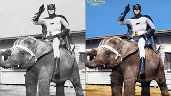 Batman mengendarai gajah 1967. Foto: Instagram/lorenzofolli_history_in_color