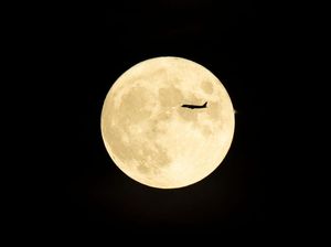 Fenomena Astronomi Juli 2025: Ada Buck Moon dan Hujan Meteor Aquarids