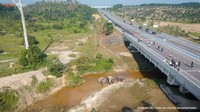 Jokowi pun mengingatkan soal pentingnya pembangunan dengan memperhatikan kelestarian lingkungan dan menjamin keberlangsungan hidup satwa liar. (Tangkapan Layar YouTube Sekretariat Presiden)