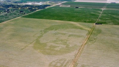 Petani Argentina Ukir Wajah Messi di Ladang Jagung, Keren...