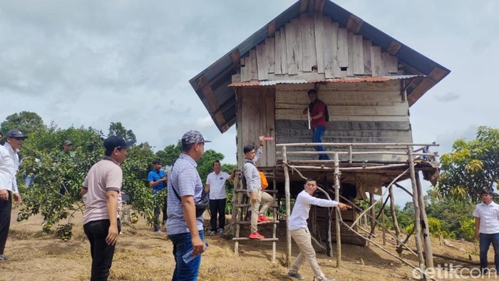 Polisi melakukan olah TKP di sekitar pondok tempat penggerebekan ladang ganja di Empat Lawang, Sumsel.