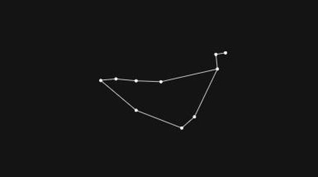Rasi Capricorn
