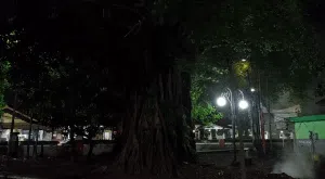Jurit Malam: Taman Kartini yang Melegenda dan Mitos Pohon Beringin